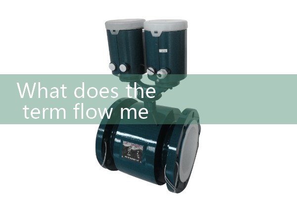 flow meter cost